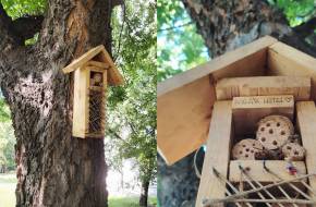 Egy képzőművész bogárhoteleket telepít Budapest zöldövezetei és a lakott területek határára Egy képzőművész bogárhoteleket telepít Budapest zöldövezetei és a lakott területek határára